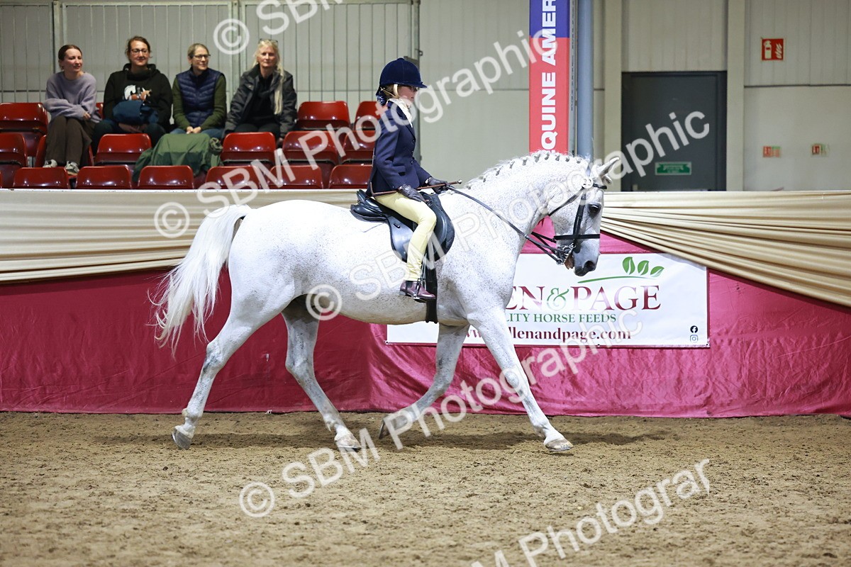 SBM_21540 - Class V - Champion of Champions