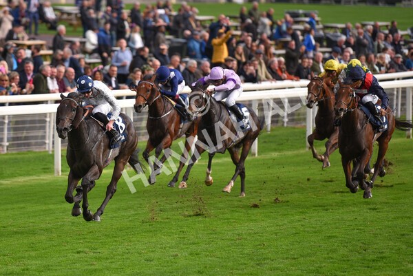 yr07102022r4-32 - Race 4 3.50pm William Hill Best Odds Guaranteed Stakes