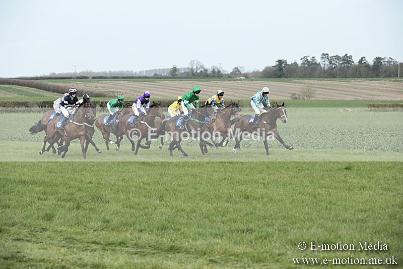 PtP 230319 149 - VWH Hunt Siddington Point-to-Point Racing 23/03/19