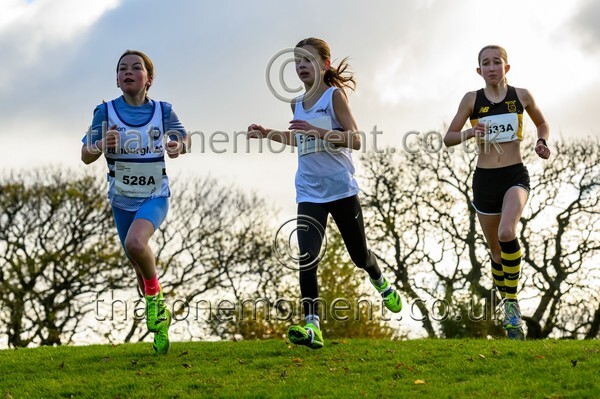 NatRel25-913337 - Young Female Set One