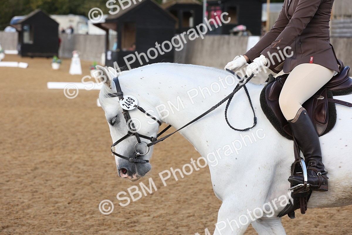 SBM_50411 - D12 - Small Tour Championship prelim 2