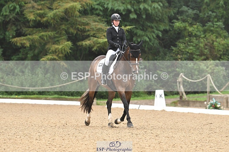 240811-094202-04848 - 119-Alice.Kneen-Dazzling.Springtime