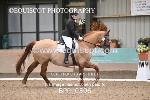 BPP_0596 - 2 - G NEIL