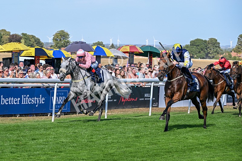 120826-Race 5-Ciao Capo-6965 - Race 5 16.15pm Cayenne Electric At Porsche Centre Hull Handicap