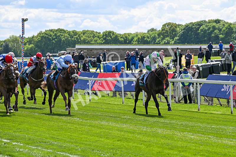 140526-Race 1-Persian Spring-4349 - Race 1 1.45pm Sky Bet ebfstallions.com Novice Stakes