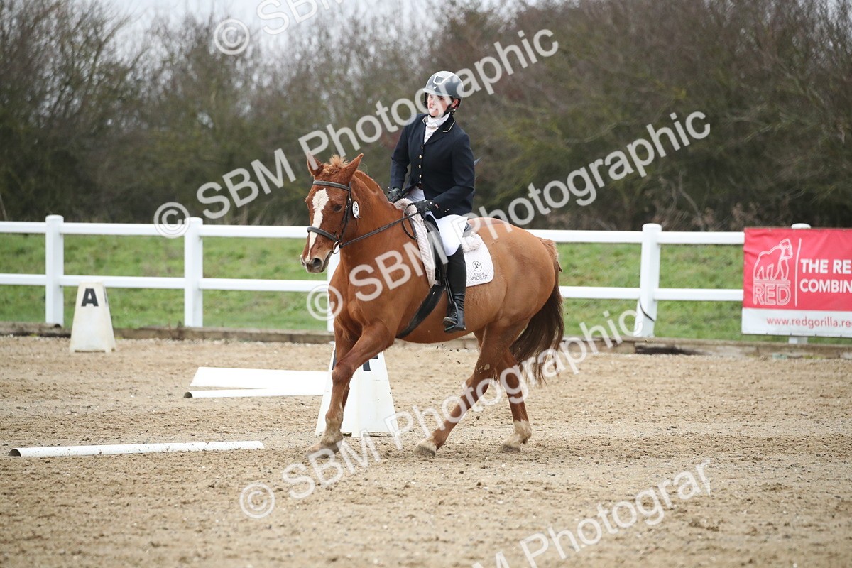 SBM_004831 - Novice 3