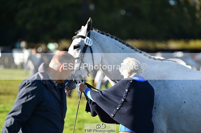 231022-100246-22203 - 624-CORRIEVIEW.OSCAR-Jane.Rogers-TrotUp+SJ