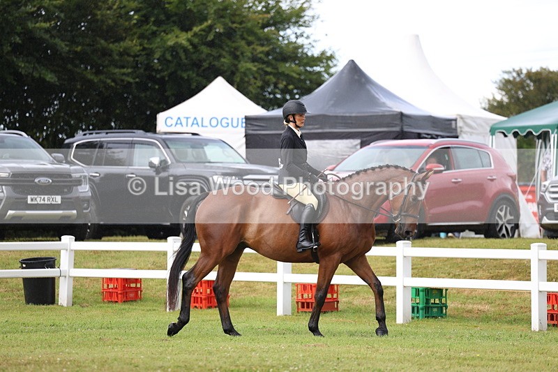 3E7A7973 - Class 2: Rising Star Large Hack/Riding Horse