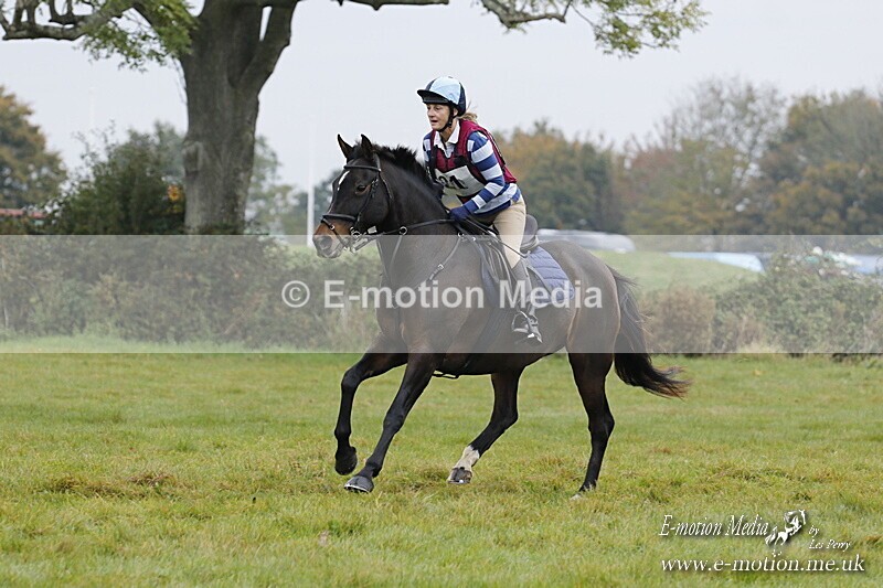 WWHT 181020 WWHT 181020 436 - WWEC Open Novice (0.80m) 18/10/20