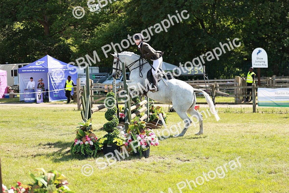 SBM_18853 - Class 114 - RIHS & SEIB Open Working Show Horse