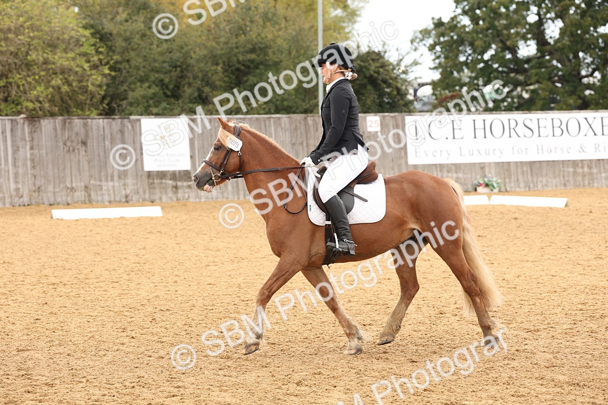 SBM_40574 - D6 - Small Tour Championship Intro 4