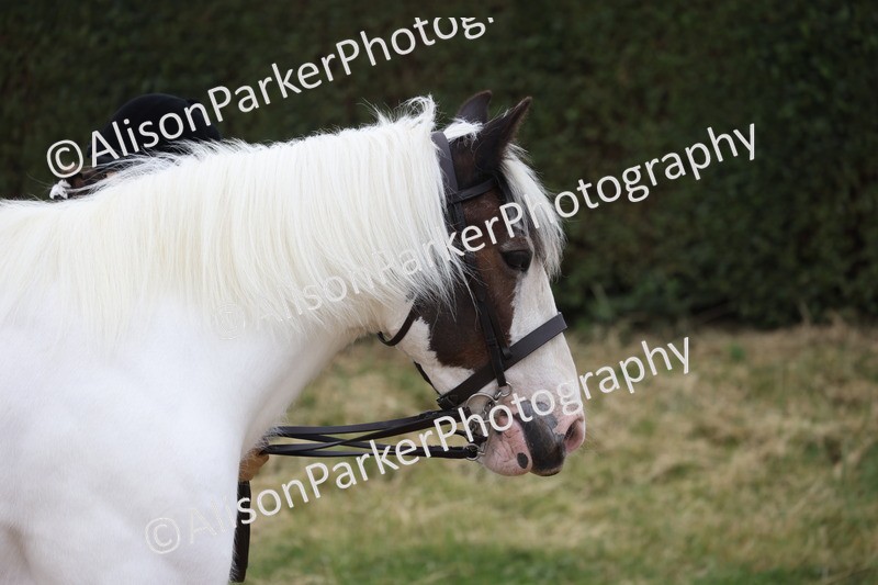 20250524-0629 - Class 7 - Veteran