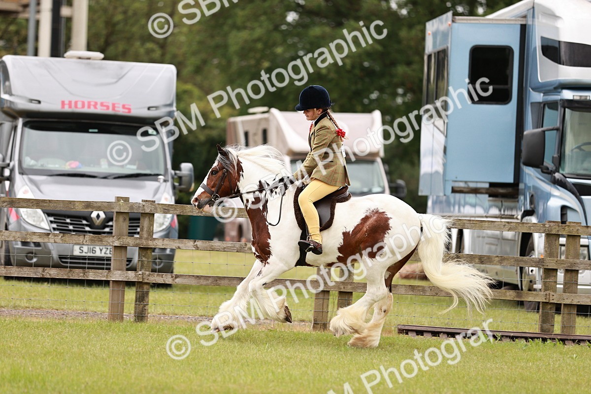 SBM_06151 - Class 39-41 TGCA In Hand and Ridden