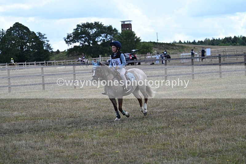 WJ7_0406 - 40cm Time 11:47 to 12:01