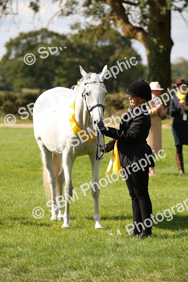 SBM_40918 - Fun Showing Supreme Championship