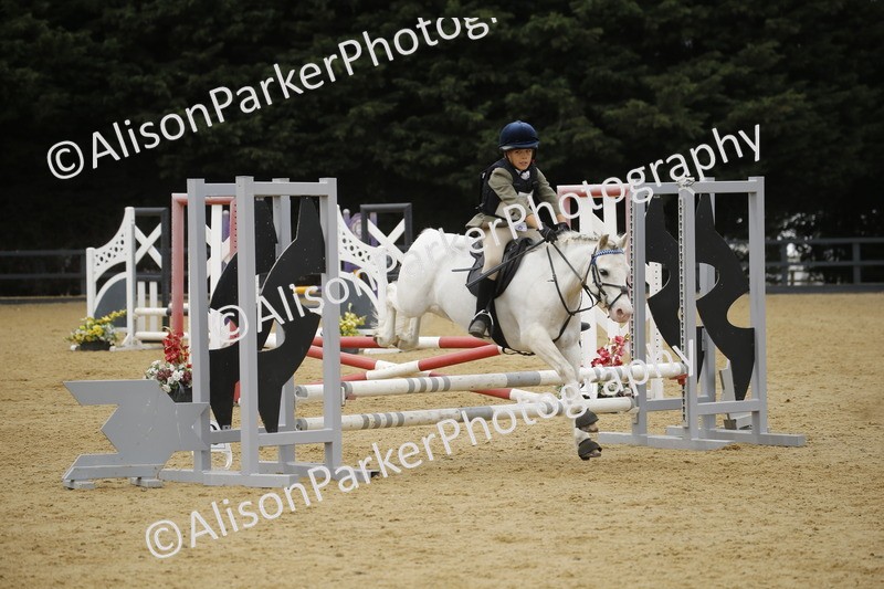 20250622-5885 - 60cm