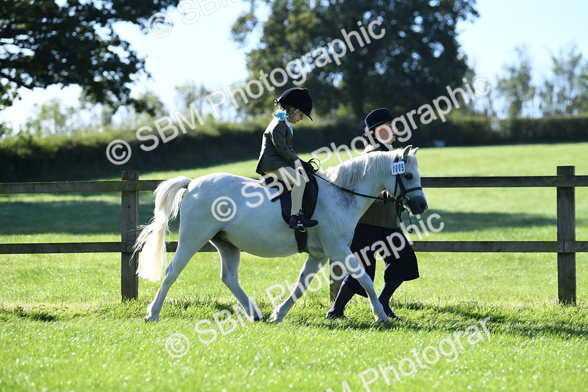 SBM_36770 - S18 - Novice & Newcomers Lead Rein Pony