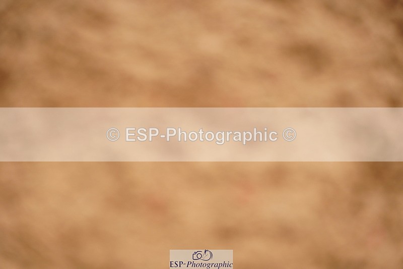 240526A-111220-07758 - Cls 26 Chard Equ 1.05m and 1.10m Grand Prix