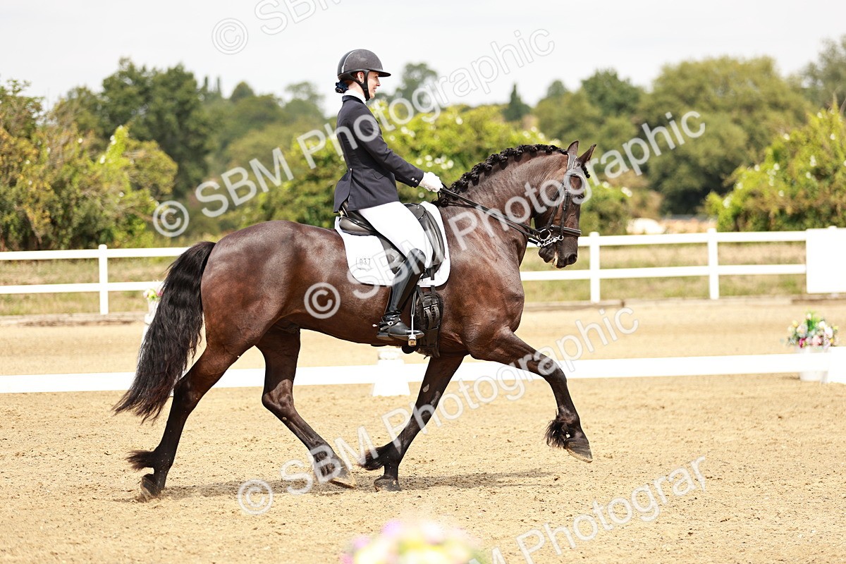 SBM_003686 - Class 7 - Advanced Medium 6 Gold - 13.16-14.36
