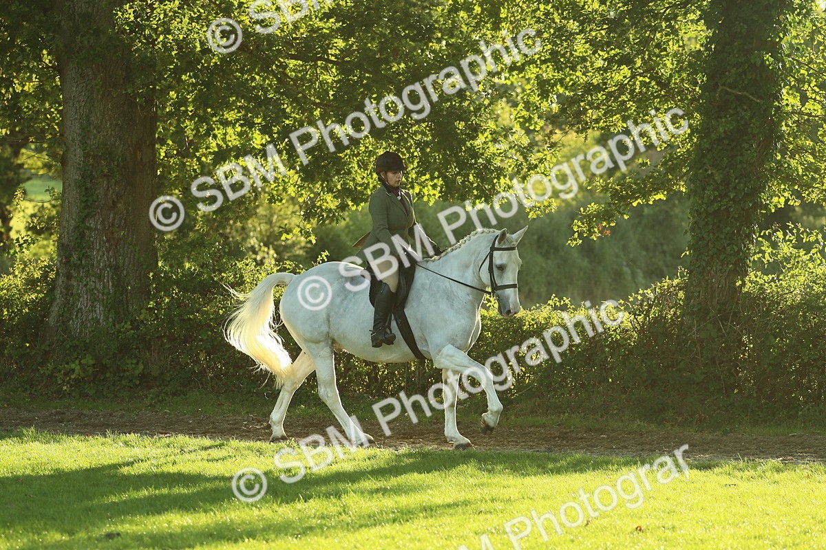 SBM_55571 - S14 - Riding Club Horse
