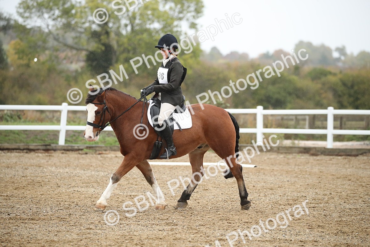 SBM_001383 - Prelim A-PYO