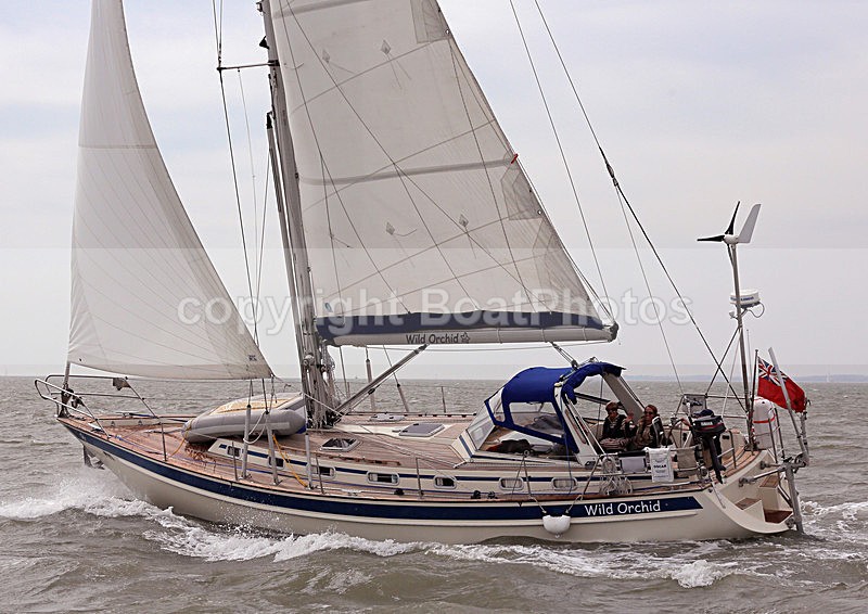140417 WILD ORCHID WT7A6515 - Sailboats - monohull