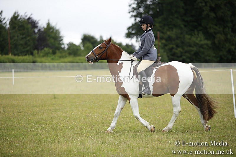 BVR160717-64 - Ring 1 BVRC Show 16/07/17