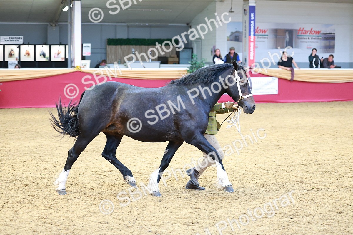 SBM_04144 - Class 9R - IH Pre-Vet