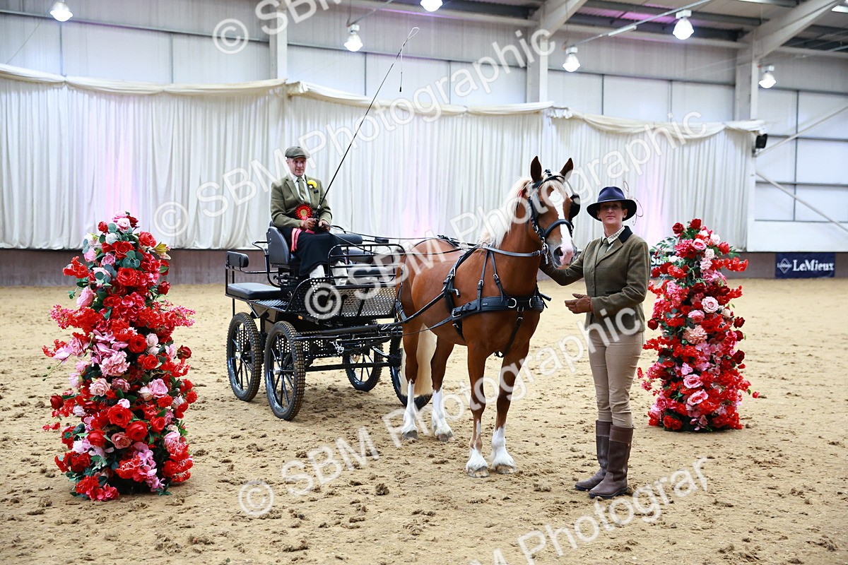 SBM_000685 - Class 11 - Peter Howell Memorial Gentlemen Whip