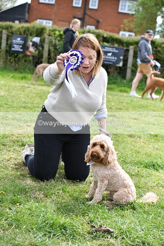 WJ5_9895 - Class 3 Most Handsome Dog