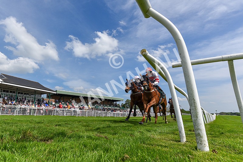 130524-Race 3-Animato-5328 - Race 3