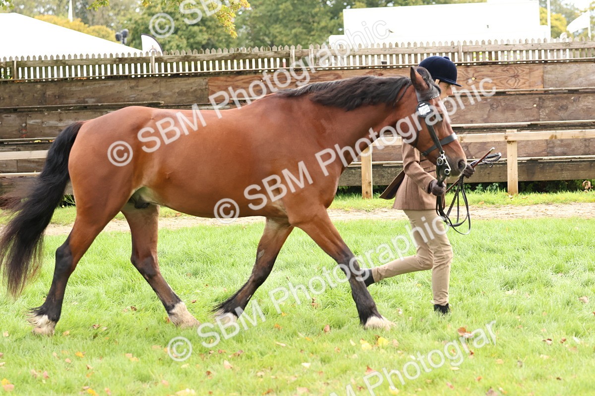 SBM_40750 - S25 -  Veteran In Hand