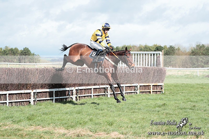 PtP 230324 298 - Tedworth Hunt PtP Larkhill Raccourse 23rd March 2024