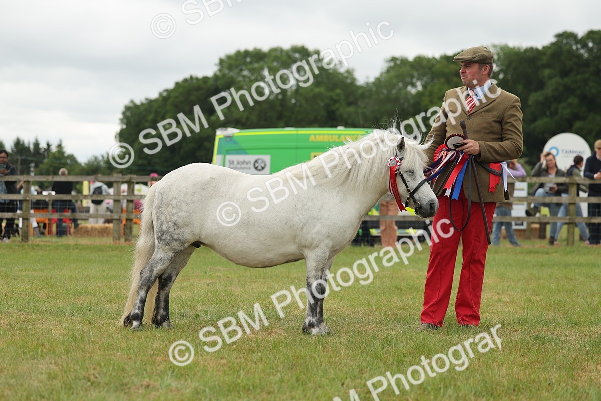 SBM_05098 - Class 50-57 - M&M Welsh Pony In Hand