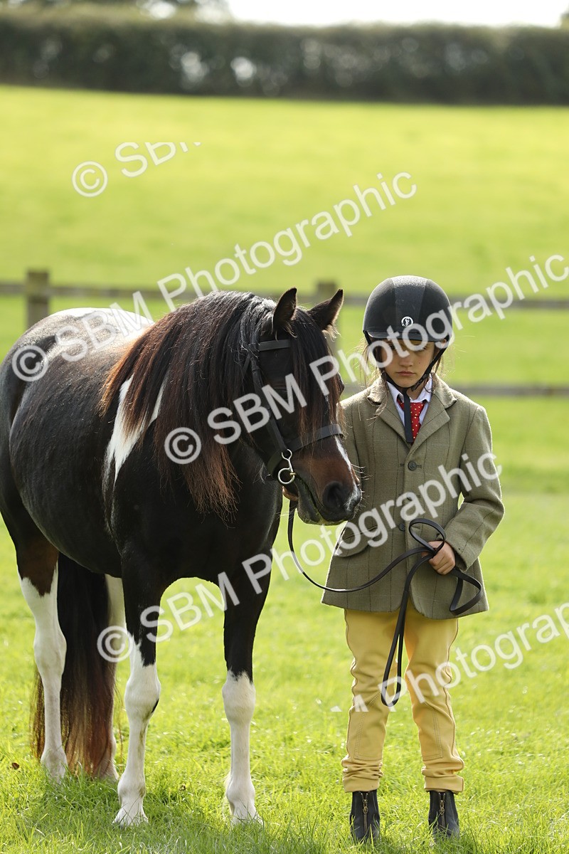 SBM_67841 - S39 - Junior Handler 8  Years & Under