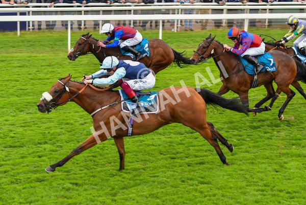 180523-Race 1-Regional-9514 - Race 1 1.50pm Lindum York Handicap