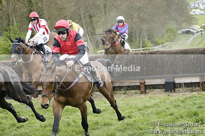 PtP 170417 456 - Old Berks Point-to-Point Lockinge 17/04/17