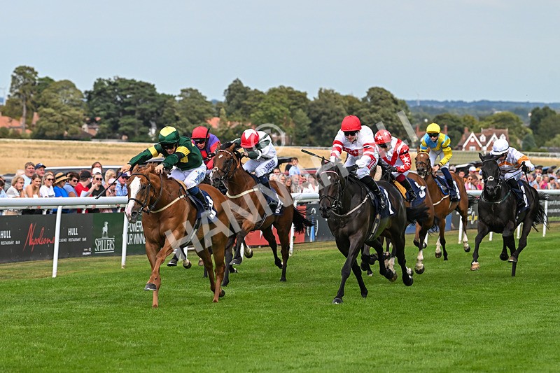 130825-Race 4-Rock Of England-1230 - Race 4