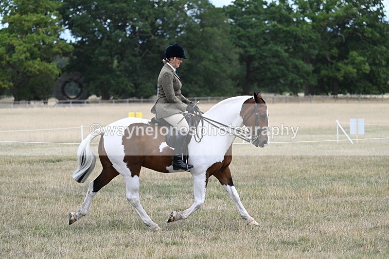 WJ7_4873 - Class 12 Ridden Cob