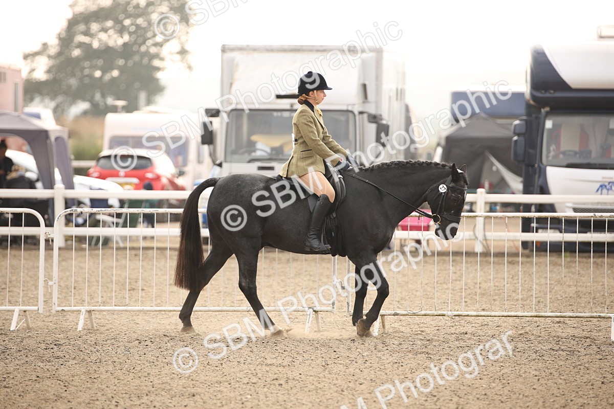 SBM_09814 - Class 401 Riding Club Pony