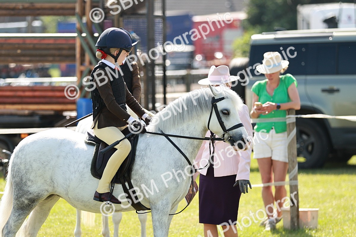 SBM_12675 - Class 106-107 - BSPS LIHS Working Sports Pony