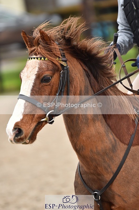 231210-115200-00494 - Cls 3 50cm