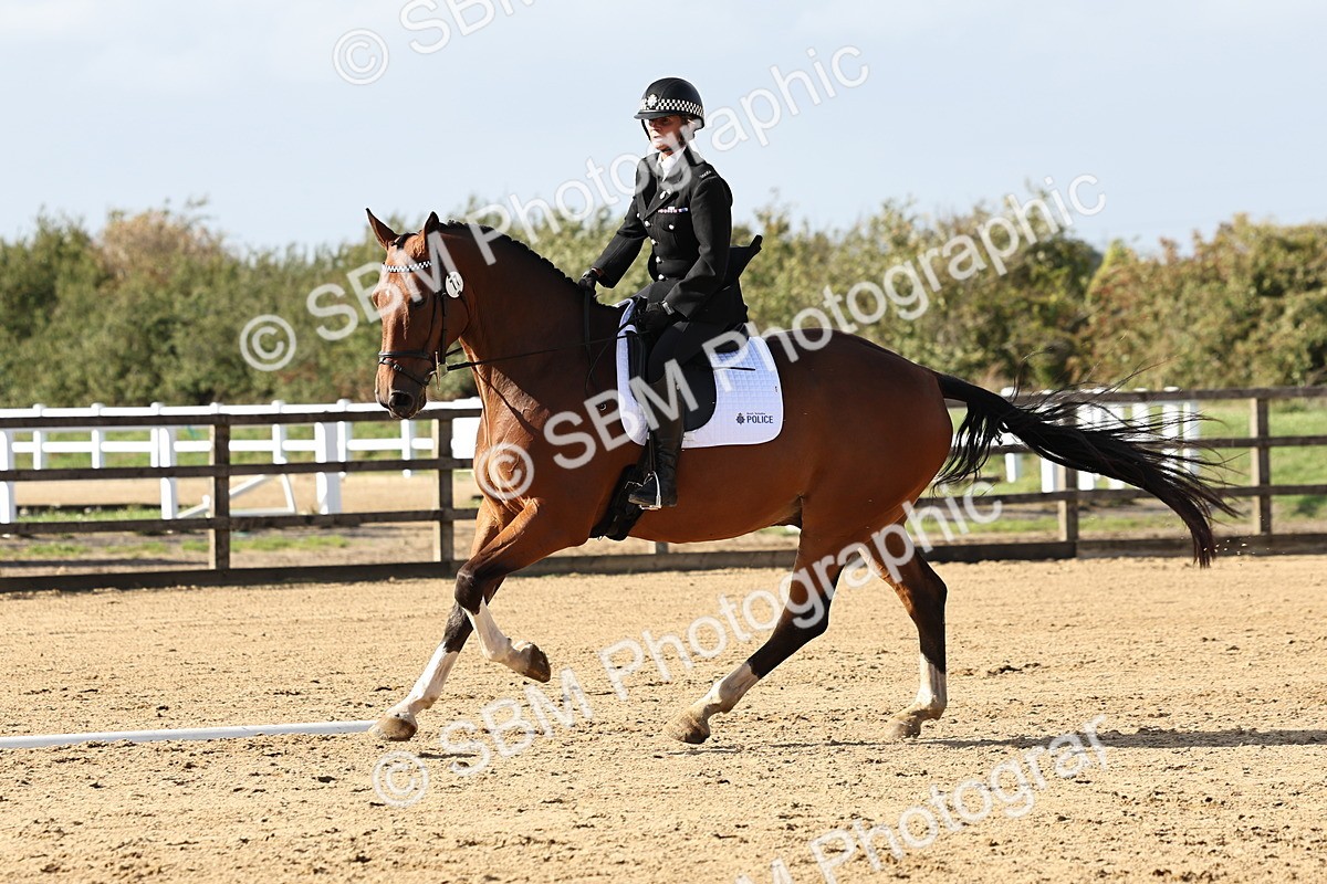 SBM_002250 - Class 50 - Novice 1