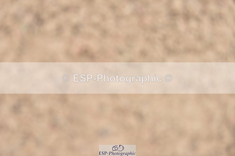 230810A-135612-01219 - Cls 10 6 Year Old Championship