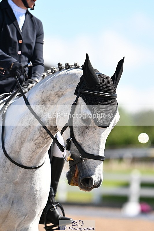 240621A-102816-01806 - Cls 2 BD Prelim 19