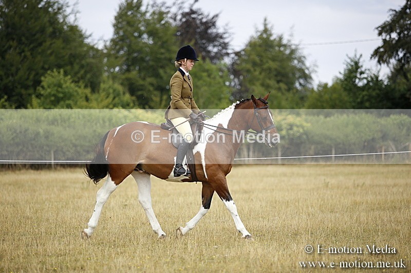 _C7A9463 - BVRC Show 2018 Ring 1