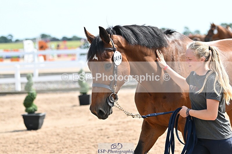 240717A-155247-03134 - Trot Up 3pm to 4pm