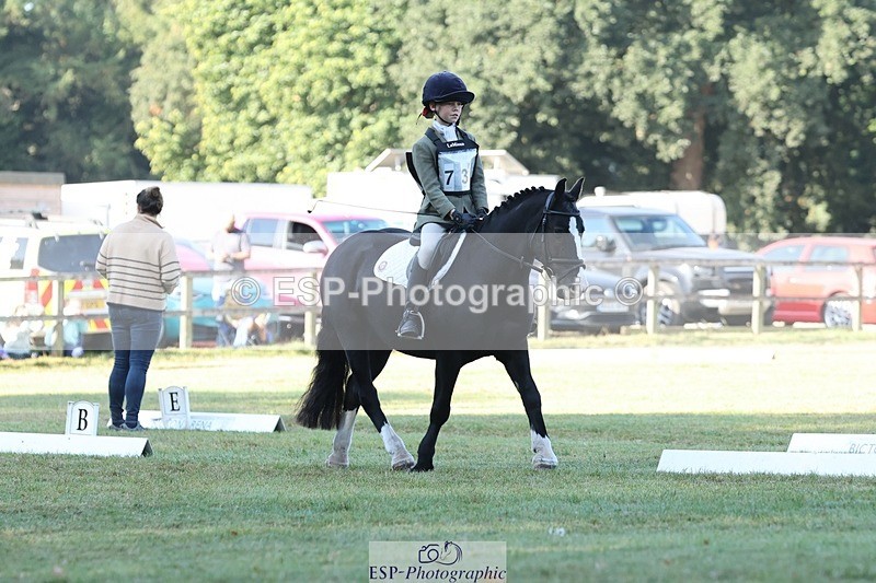 250823A-085139-26095 - Arena C