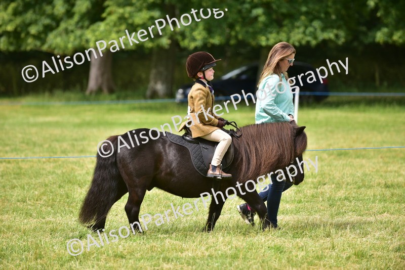 20260614-4188 - Class 17 - Best Mane and Tail