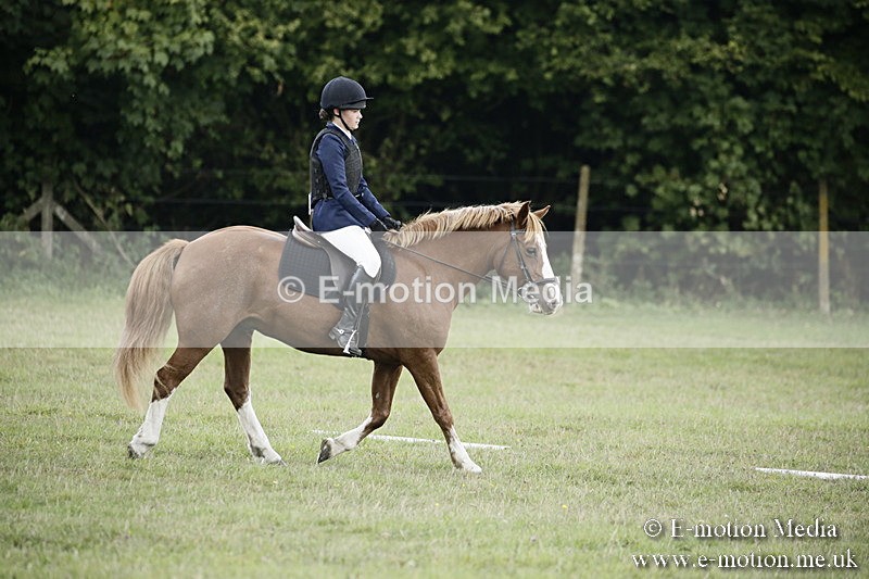 BVR090918 237 - BVRC Dressage and Show Jumping 09/09/18